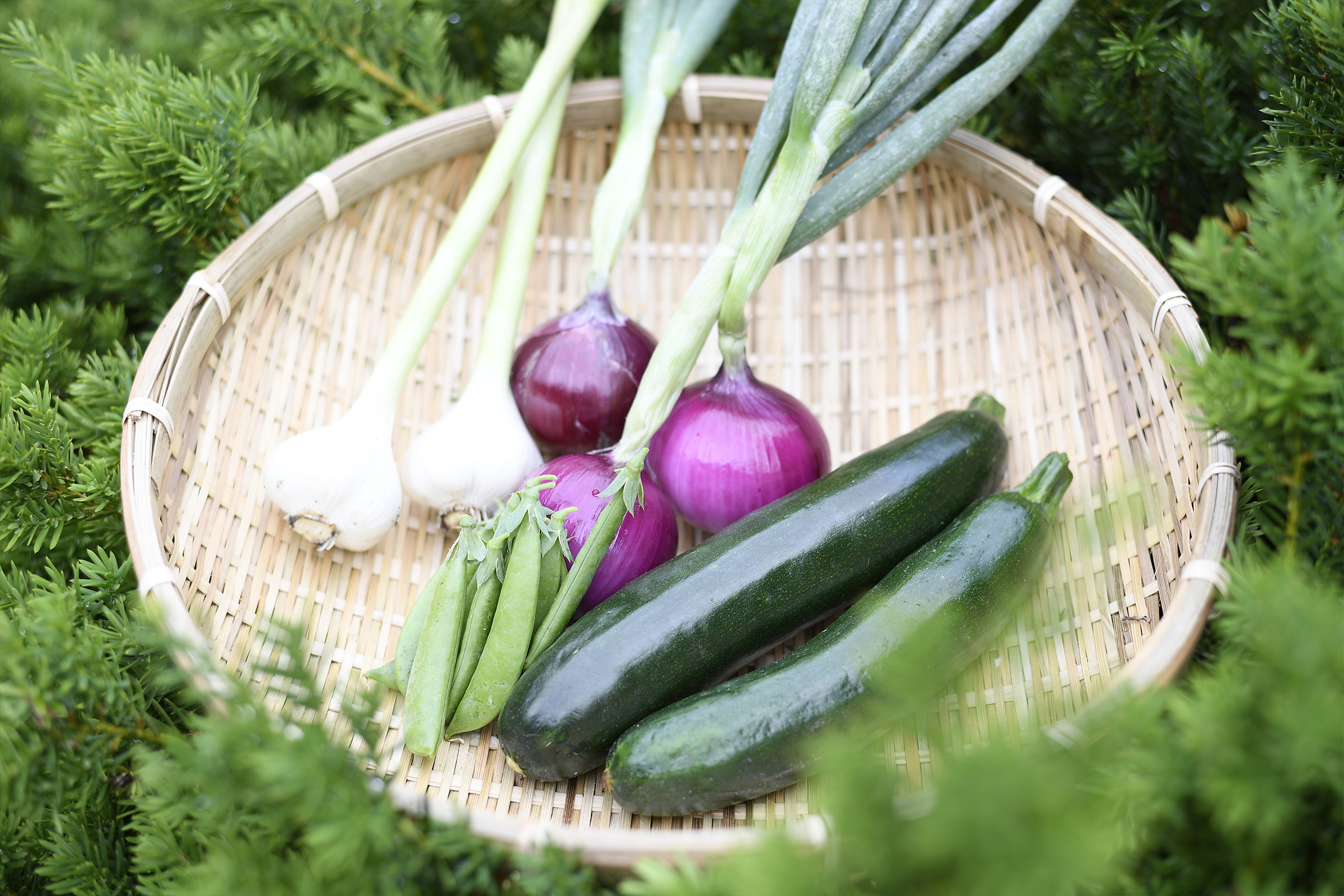 信州安曇野古民家やど初太郎